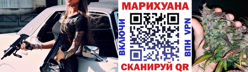 Каннабис OG Kush Тверь